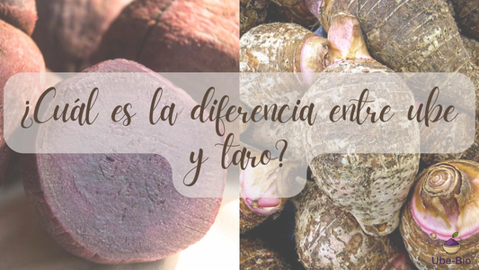 ¿Cuál es la diferencia entre ube y taro?