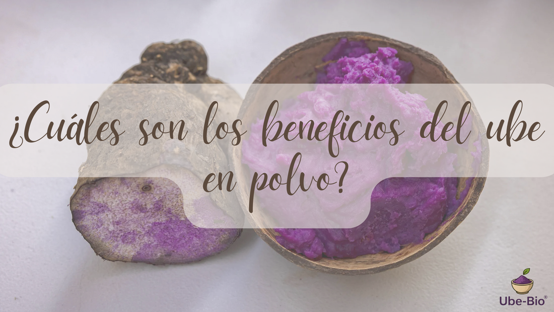 ¿Cuáles son los beneficios del ube en polvo?