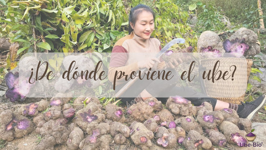 ¿De dónde proviene el ube?
