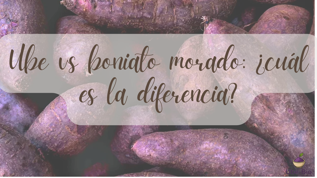 Ube vs boniato morado: ¿cuál es la diferencia?